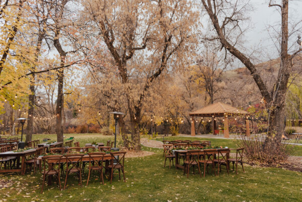 rustic wooden chairs