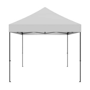 10 X 10 canopy tent